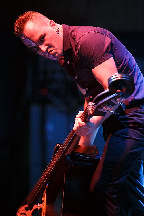 Djordje Stijepovic